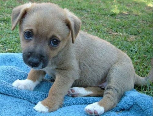 how to say i am sorry