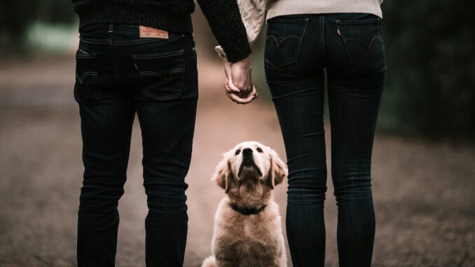 relationship questions couple holding hands